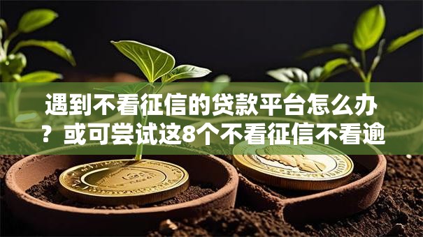 遇到不看征信的贷款平台怎么办？或可尝试这8个不看征信不看逾期的借钱平台