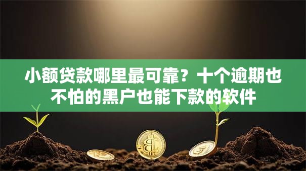 小额贷款哪里最可靠？十个逾期也不怕的黑户也能下款的软件