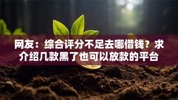 网友：综合评分不足去哪借钱？求介绍几款黑了也可以放款的平台