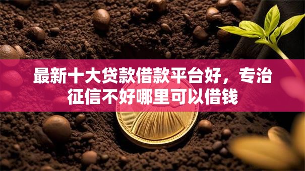 最新十大贷款借款平台好,专治征信不好哪里可以借钱 最新十大贷款借款平台好,专治征信不好哪里可以借钱