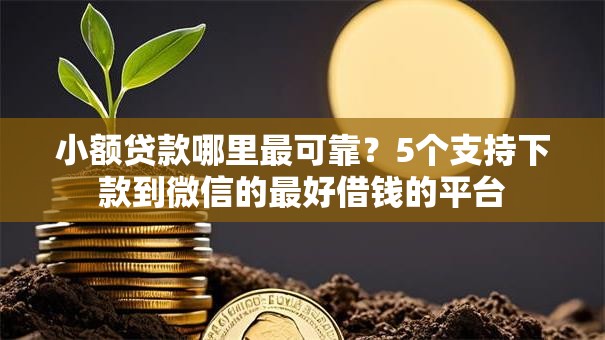小额贷款哪里最可靠?5个支持下款到微信的最好借钱的平台 小额贷款哪里最可靠?5个支持下款到微信的最好借钱的平台
