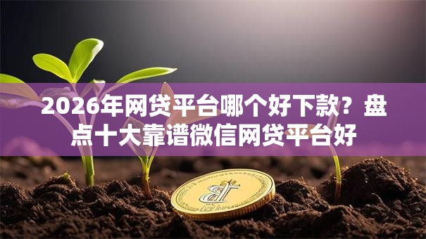 2026年网贷平台哪个好下款？盘点十大靠谱微信网贷平台好