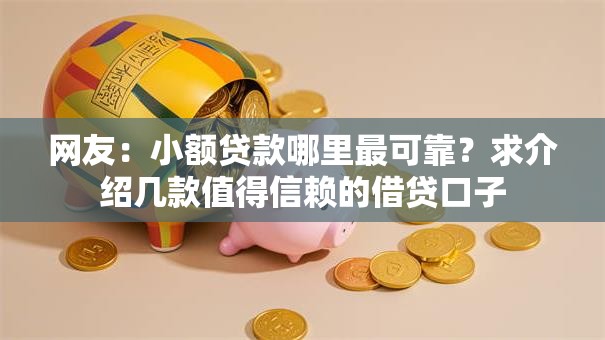 网友：小额贷款哪里最可靠？求介绍几款值得信赖的借贷口子