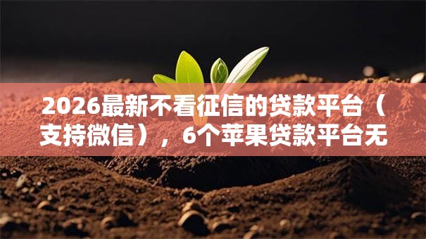 2026最新不看征信的贷款平台(支持微信),6个苹果贷款平台无私分享 2026最新不看征信的贷款平台(支持微信),6个苹果贷款平台无私分享