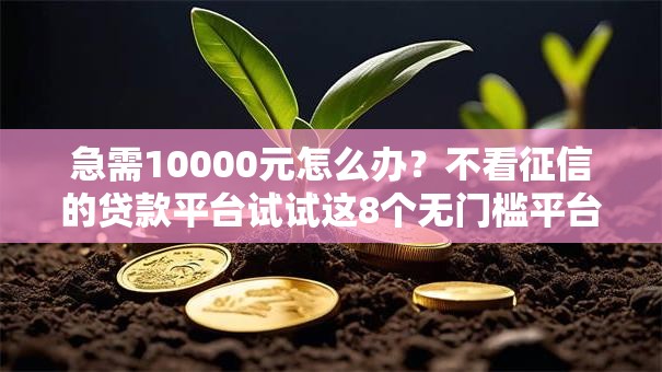 急需10000元怎么办?不看征信的贷款平台试试这8个无门槛平台 急需10000元怎么办?不看征信的贷款平台试试这8个无门槛平台