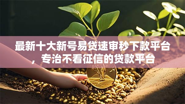 最新十大新号易贷速审秒下款平台,专治不看征信的贷款平台 最新十大新号易贷速审秒下款平台,专治不看征信的贷款平台
