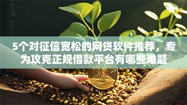 5个对征信宽松的网贷软件推荐，专为攻克正规借款平台有哪些难题