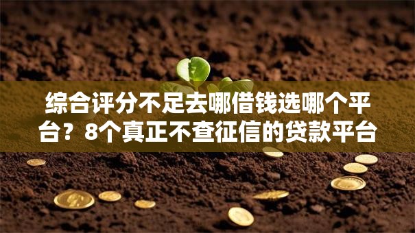 综合评分不足去哪借钱选哪个平台?8个真正不查征信的贷款平台推荐 综合评分不足去哪借钱选哪个平台?8个真正不查征信的贷款平台推荐