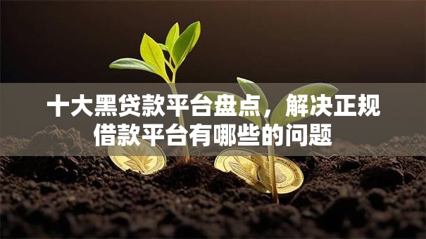 十大黑贷款平台盘点，解决正规借款平台有哪些的问题