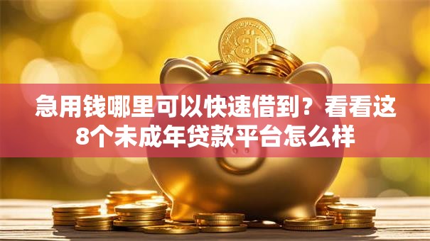 急用钱哪里可以快速借到？看看这8个未成年贷款平台怎么样