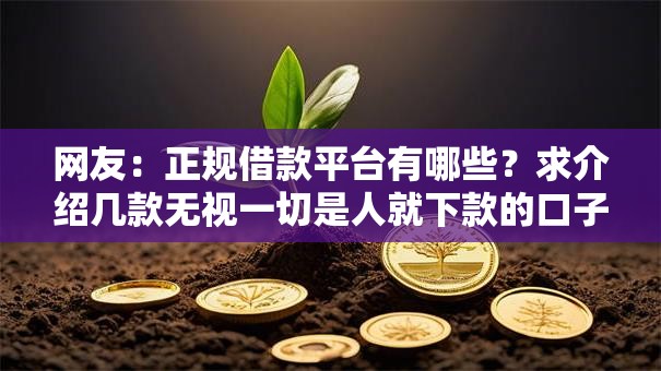 网友：正规借款平台有哪些？求介绍几款无视一切是人就下款的口子