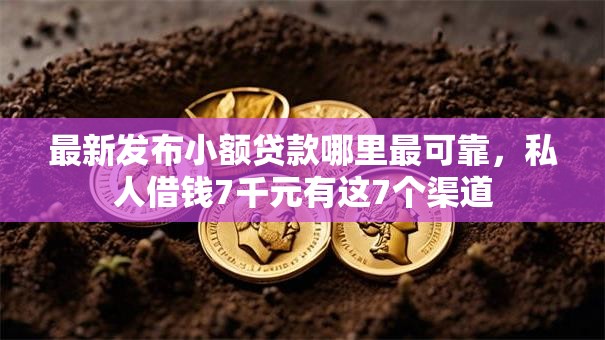 最新发布小额贷款哪里最可靠，私人借钱7千元有这7个渠道