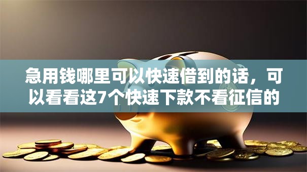 急用钱哪里可以快速借到的话,可以看看这7个快速下款不看征信的平台 急用钱哪里可以快速借到的话,可以看看这7个快速下款不看征信的平台
