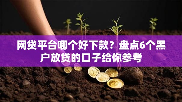 网贷平台哪个好下款?盘点6个黑户放贷的口子给你参考 网贷平台哪个好下款?盘点6个黑户放贷的口子给你参考