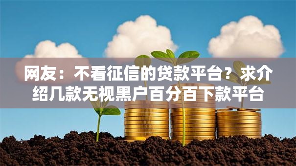 网友：不看征信的贷款平台？求介绍几款无视黑户百分百下款平台