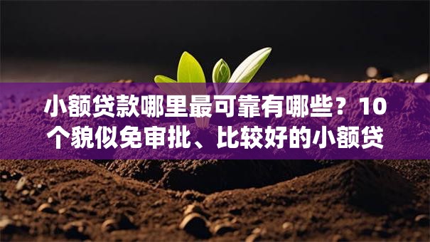小额贷款哪里最可靠有哪些？10个貌似免审批、比较好的小额贷款app合集