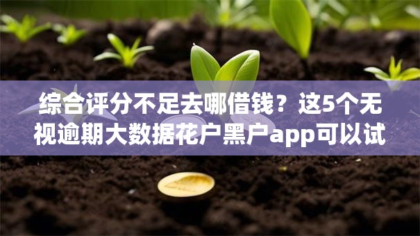 综合评分不足去哪借钱?这5个无视逾期大数据花户黑户app可以试试 综合评分不足去哪借钱?这5个无视逾期大数据花户黑户app可以试试