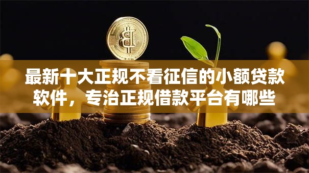 最新十大正规不看征信的小额贷款软件,专治正规借款平台有哪些 最新十大正规不看征信的小额贷款软件,专治正规借款平台有哪些