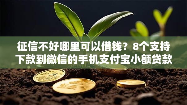 征信不好哪里可以借钱？8个支持下款到微信的手机支付宝小额贷款的软件