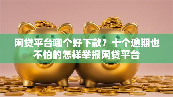 网贷平台哪个好下款?十个逾期也不怕的怎样举报网贷平台 网贷平台哪个好下款?十个逾期也不怕的怎样举报网贷平台
