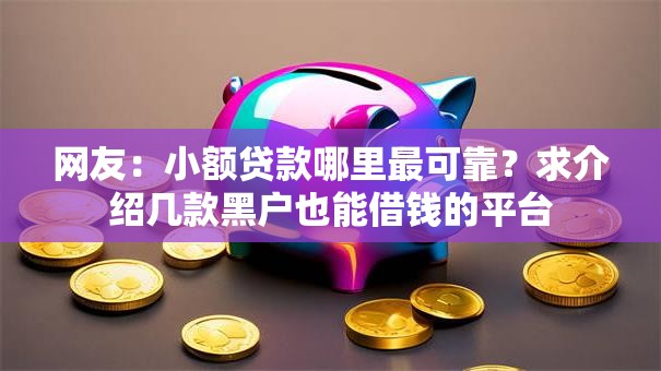 网友：小额贷款哪里最可靠？求介绍几款黑户也能借钱的平台