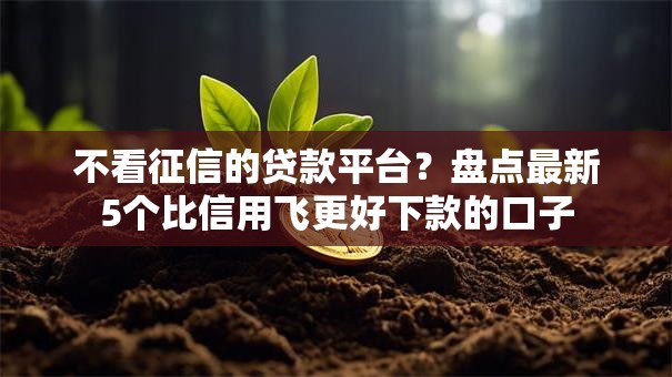 不看征信的贷款平台?盘点最新5个比信用飞更好下款的口子 不看征信的贷款平台?盘点最新5个比信用飞更好下款的口子