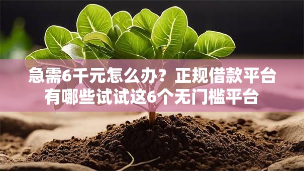 急需6千元怎么办?正规借款平台有哪些试试这6个无门槛平台 急需6千元怎么办?正规借款平台有哪些试试这6个无门槛平台