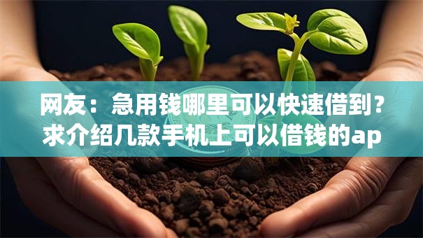 网友：急用钱哪里可以快速借到？求介绍几款手机上可以借钱的app