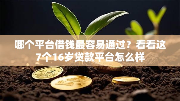 哪个平台借钱最容易通过?看看这7个16岁贷款平台怎么样 哪个平台借钱最容易通过?看看这7个16岁贷款平台怎么样