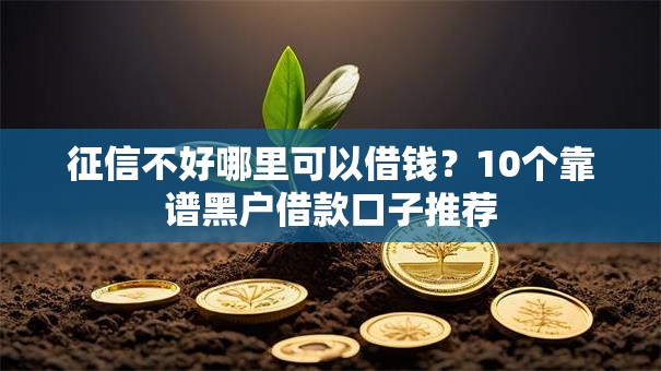 征信不好哪里可以借钱？10个靠谱黑户借款口子推荐