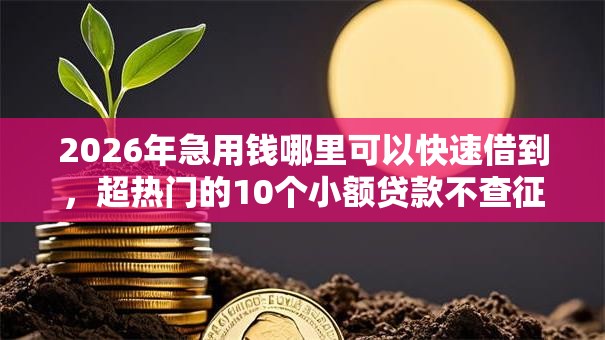 2026年急用钱哪里可以快速借到，超热门的10个小额贷款不查征信的平台推荐