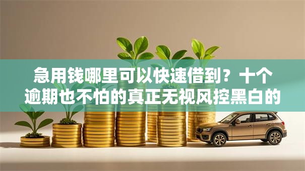 急用钱哪里可以快速借到？十个逾期也不怕的真正无视风控黑白的网贷平台