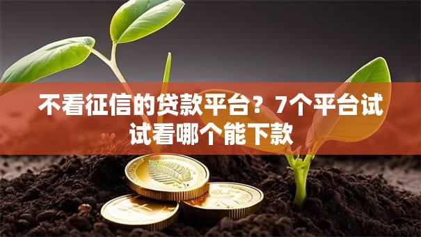不看征信的贷款平台?7个平台试试看哪个能下款 不看征信的贷款平台?7个平台试试看哪个能下款