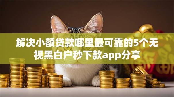 解决小额贷款哪里最可靠的5个无视黑白户秒下款app分享