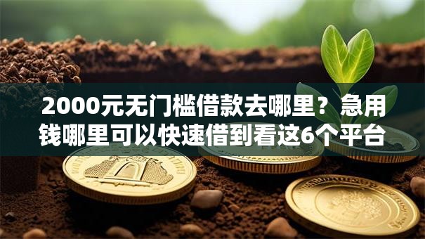 2000元无门槛借款去哪里？急用钱哪里可以快速借到看这6个平台