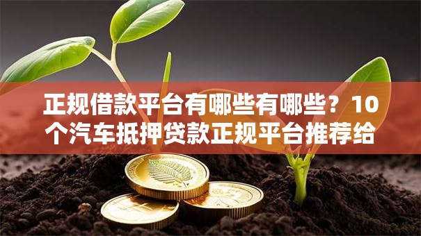 正规借款平台有哪些有哪些？10个汽车抵押贷款正规平台推荐给你