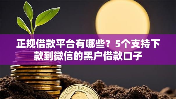 正规借款平台有哪些?5个支持下款到微信的黑户借款口子 正规借款平台有哪些?5个支持下款到微信的黑户借款口子