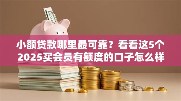小额贷款哪里最可靠？看看这5个2025买会员有额度的口子怎么样