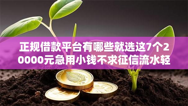 正规借款平台有哪些就选这7个20000元急用小钱不求征信流水轻松贷的口子