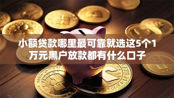 小额贷款哪里最可靠就选这5个1万元黑户放款都有什么口子 小额贷款哪里最可靠就选这5个1万元黑户放款都有什么口子