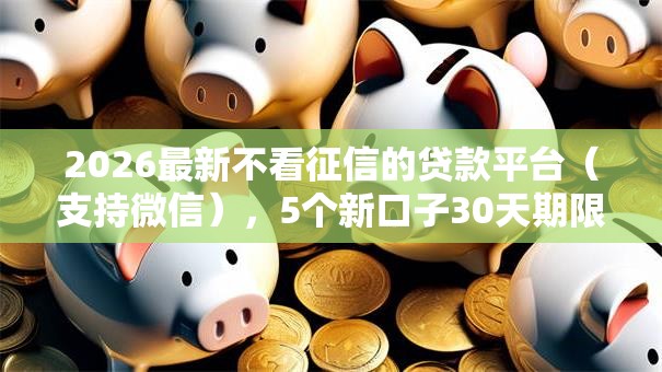 2026最新不看征信的贷款平台（支持微信），5个新口子30天期限的网贷无私分享