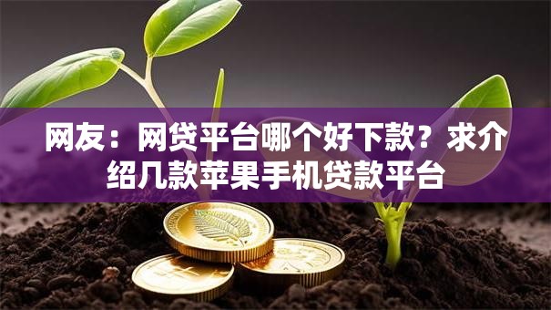 网友：网贷平台哪个好下款？求介绍几款苹果手机贷款平台