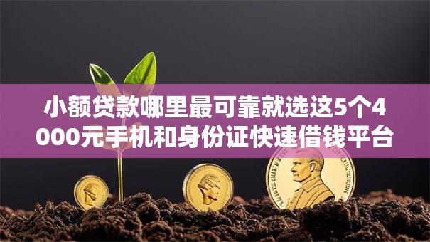 小额贷款哪里最可靠就选这5个4000元手机和身份证快速借钱平台