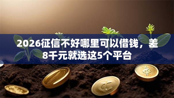 2026征信不好哪里可以借钱，差8千元就选这5个平台