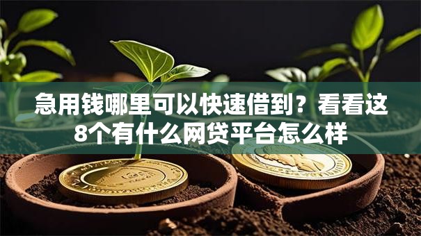 急用钱哪里可以快速借到？看看这8个有什么网贷平台怎么样