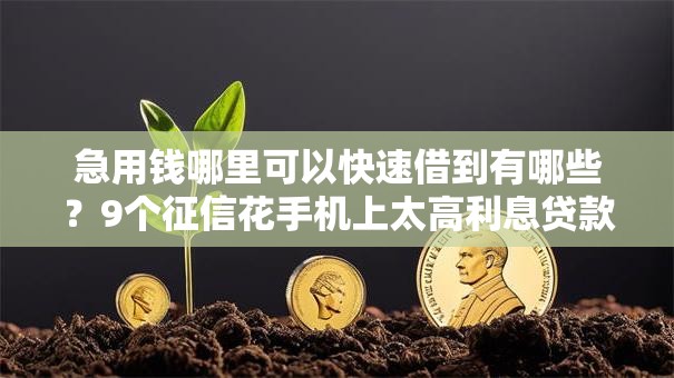 急用钱哪里可以快速借到有哪些？9个征信花手机上太高利息贷款软件推荐给你