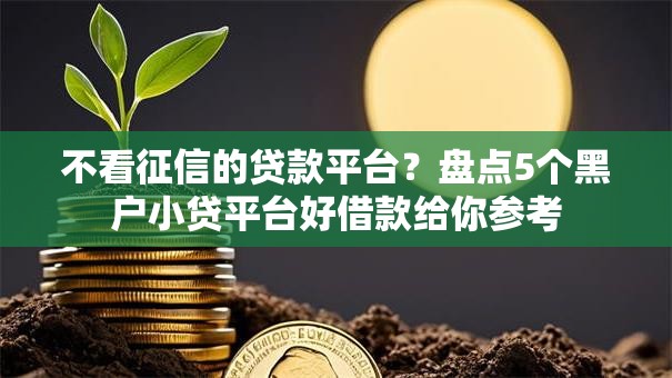 不看征信的贷款平台?盘点5个黑户小贷平台好借款给你参考 不看征信的贷款平台?盘点5个黑户小贷平台好借款给你参考