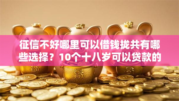征信不好哪里可以借钱拢共有哪些选择？10个十八岁可以贷款的平台详解
