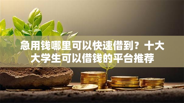 急用钱哪里可以快速借到？十大大学生可以借钱的平台推荐