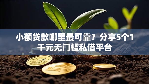小额贷款哪里最可靠?分享5个1千元无门槛私借平台 小额贷款哪里最可靠?分享5个1千元无门槛私借平台